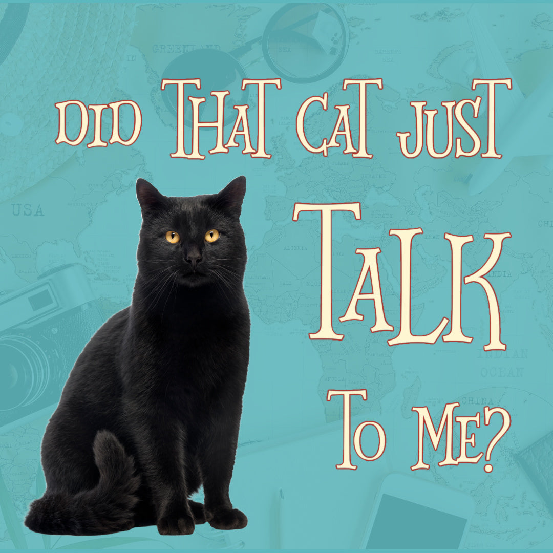 The Ultimate Spy Kitty Cozy Mystery Collection